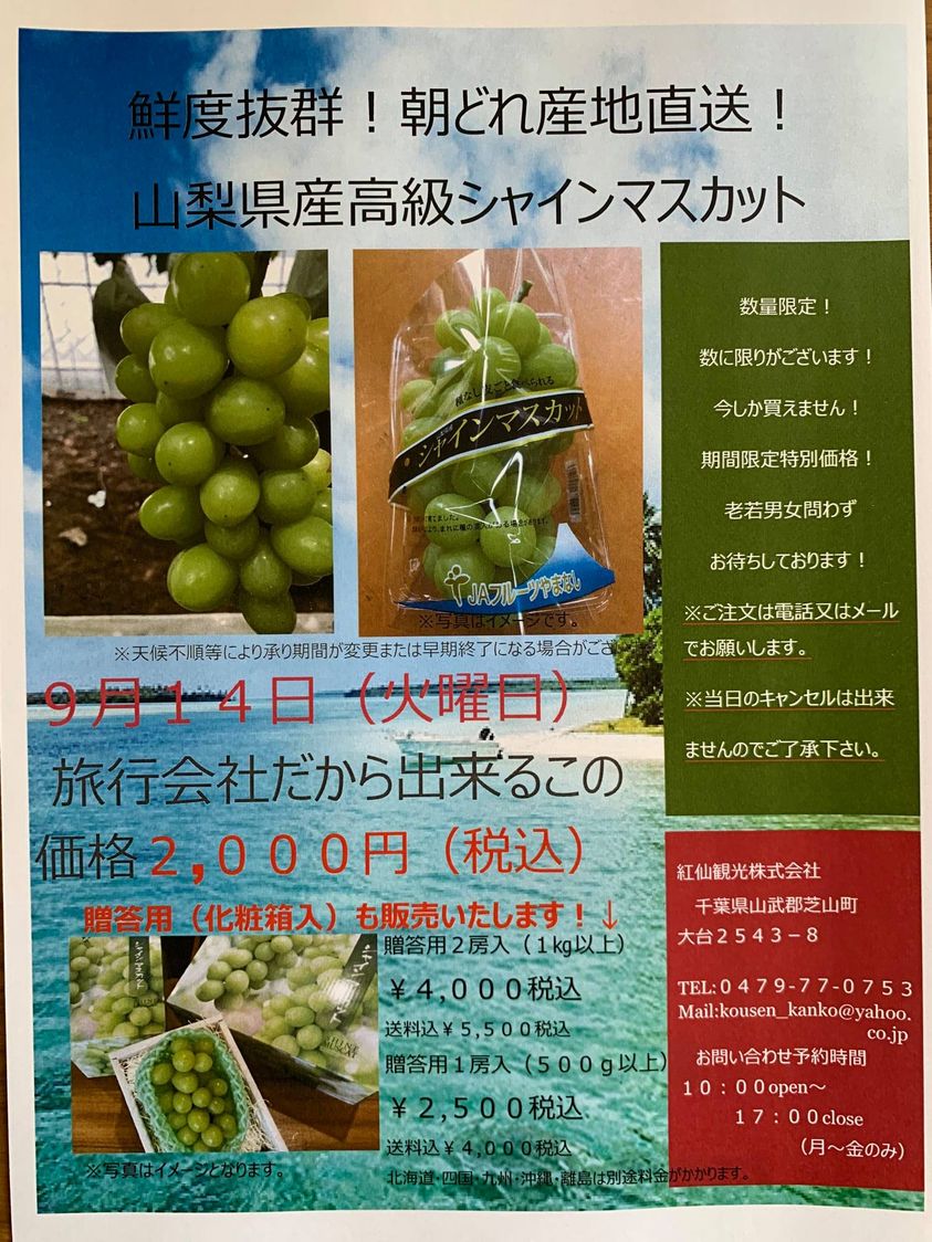 山梨県産高級シャインマスカットの販売を開始いたします | 紅仙観光自動車